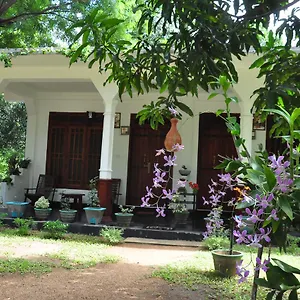 Flower Guest Sigiriya