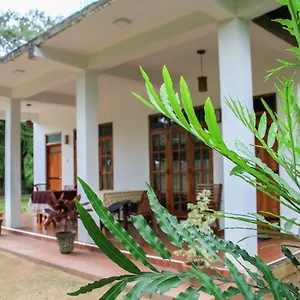 Gasthof Sigiri Lion, Sigiriya